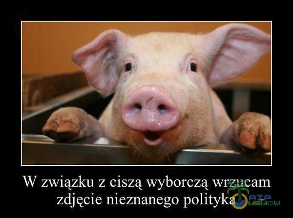 W związku z ciszą wyborczą wrzucam zdjęcie nieznanego polityka