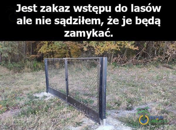 Jest zakaz wstępu do lasów ale nie sądziłem, że je będą