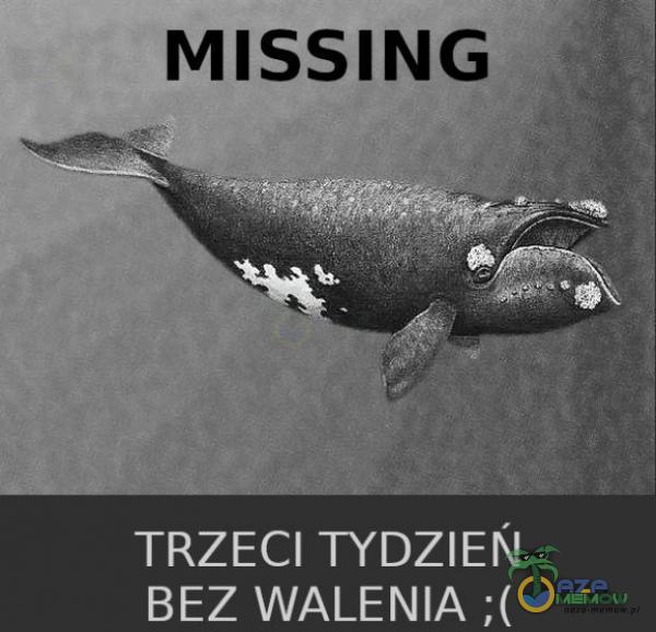 MISSING TRZECI TYDZIEŃ BEZ WALENIA