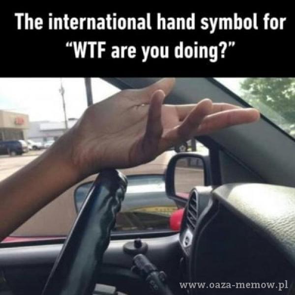 The international hand symbol for WTF are you doing?