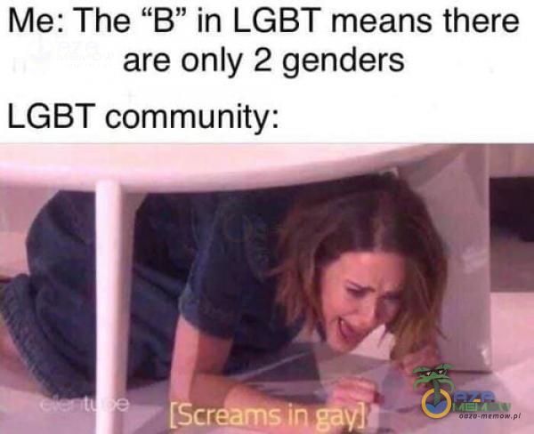 Me: The B” in LGBT means there are only 2 genders LGBT munity: [Scrâms Lin