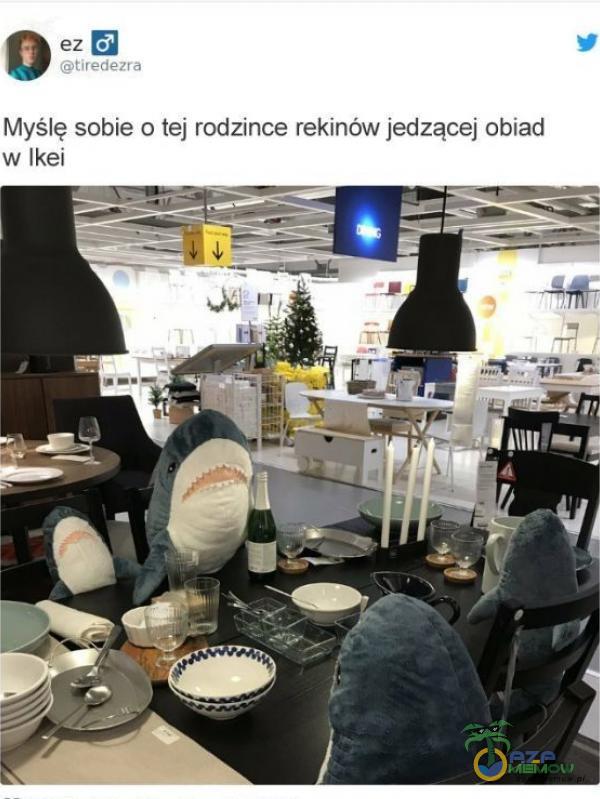 Myślę sobie o tej rodzince rekinów jedzącej obiad w Ikei