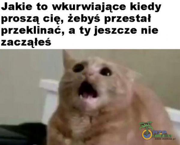 Jakie tu wkur***iące kiedy proszą cię, żebyś przestał przeklinać, a ty jeszcze nie zacząłeś