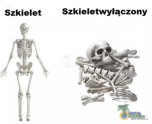 Szkielet Szkieletwyłączony