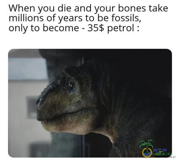 When you die and your bones take miillions of years to be fossils, only to became - 35$ petrol :