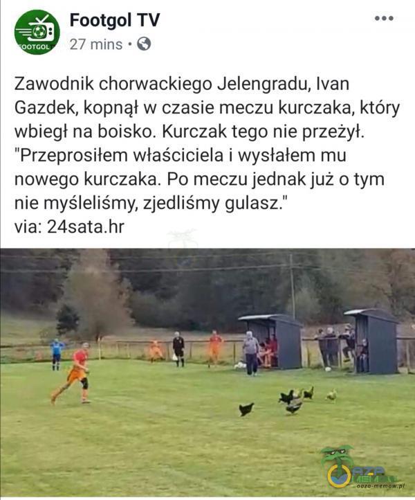  Footgol TV 27 mins • O OOTCOL Zawodnik chorwackiego Jelengradu, Ivan Gazdek, kopnął w czasie meczu kurczaka, który wbiegł na boisko. Kurczak tego nie przeżył. Przeprosiłem właściciela i wysłałem mu nowego kurczaka. Po meczu jednak już o...
