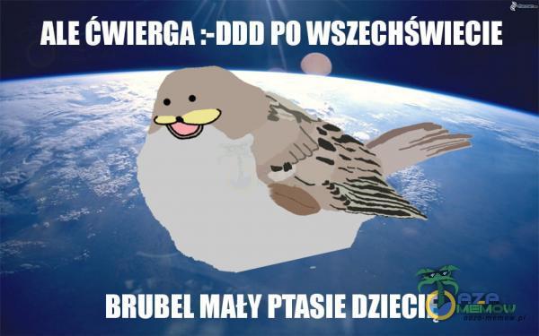 Codziennie tylko śmieszne memy, pasty, gify, suchary i filmy - przeglądaj, komentuj, dodawaj własne!