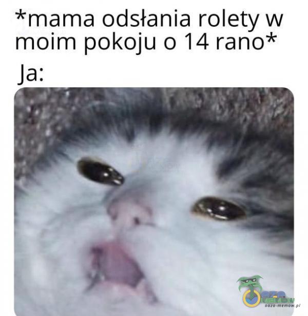 *mama odsłania rolety w moim pokoju 0 14 rano*