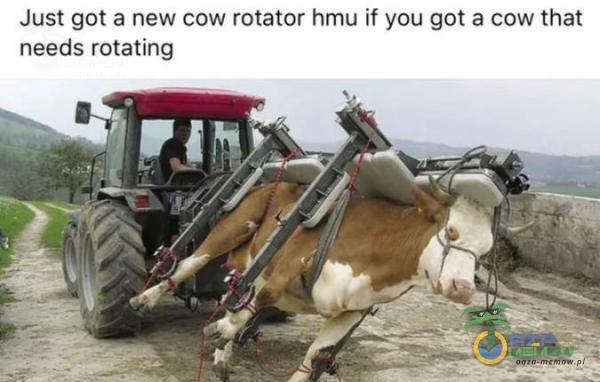 Just got a new cow rotator hmu if you got a cow that needs rotating