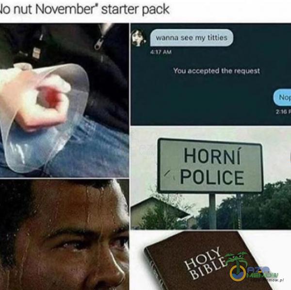 10 nut November• starter pack wanna sce my titties You accepted the Nor HORNI POLICE