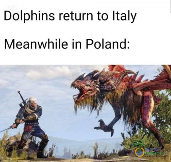 Dolphins return to Italy Meanwhile in Poland: