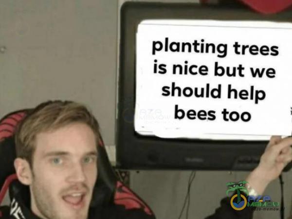 anting trees is nice but we should help bees too