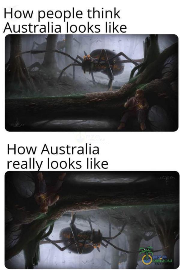 How peoe think Australia looks like How Australia reall looks like