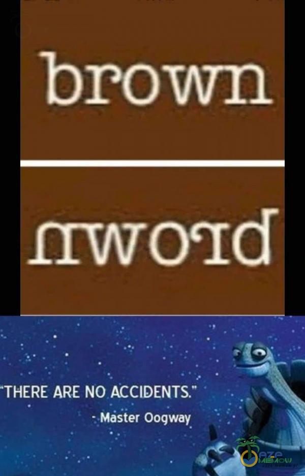 brown rłwocłd THERE ARE NO ACCIDENTS • Mister Oogway