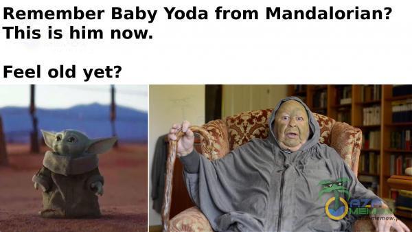Remember Baby Yoda from Mandalorian? This is him now. Feel old yet?