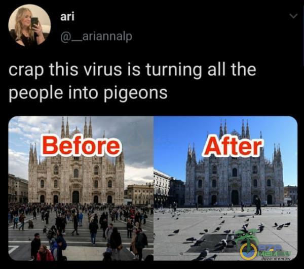 GA * 3 r i .4GL IC crap this virus is turning all the peopie into pigeons