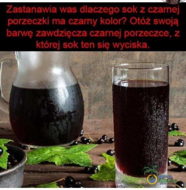 Zastanawła was dlaczego sok z czarnej porzeczki ma czarny koloro Otóż swoją barwę zawdzĘcza czarnej porzeczce, z którei sok ten sie wyciska.
