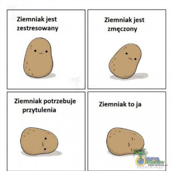 Ziemniakaięn Way Ziemniaka zmęczony Ziemniak potnebuie tafla Zibmnłlk na]:
