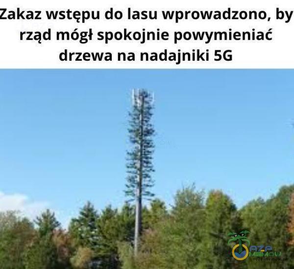 Zakaz wstępu do lasu wprowadzono, b rząd mógł spokojnie powymieniać drzewa na nadajniki 5G