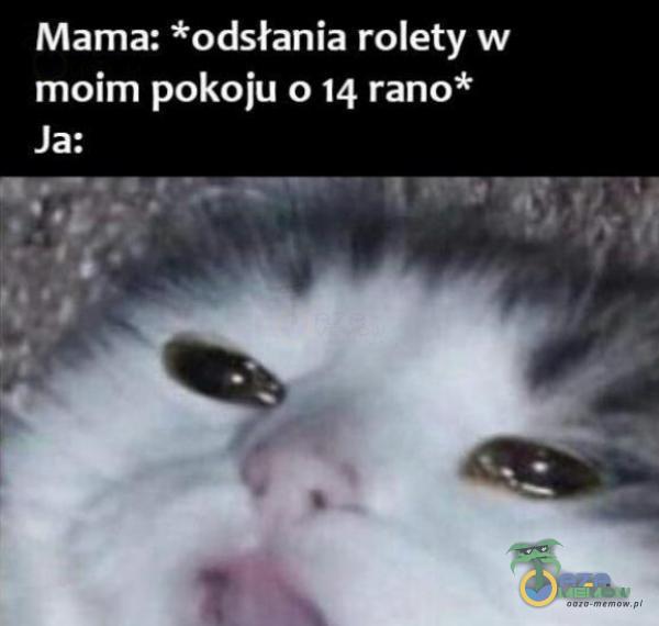 Mama: *odsłania rolety w moim pokoju o 14 rano* Ja: cu) | LJ z ” [l | U H u