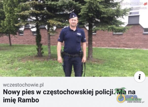 wczestochowie Nowy pies w częstochowskiej policji. Ma na imię Rambo