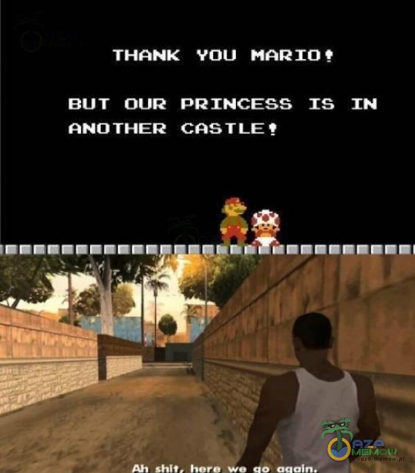 THANK YOU MARIO BUT OUR PRINCESS IN ANOTHER CASTLE