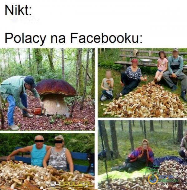 Nikt: Polacy na Facebooku: