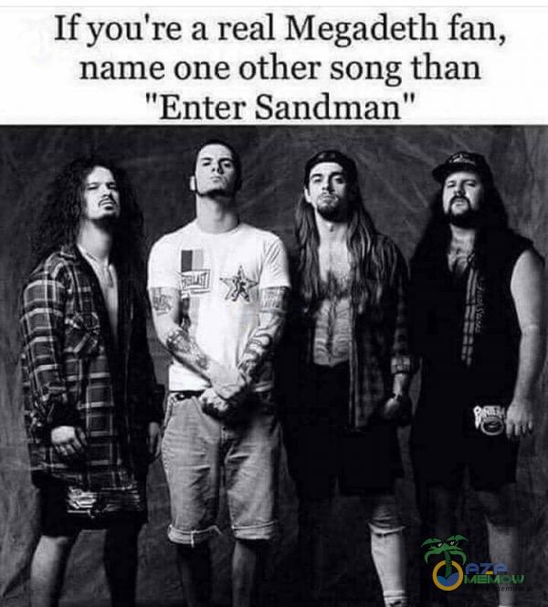 Ifyou're a real Megadeth fan, name one other song than Enter Sandman”