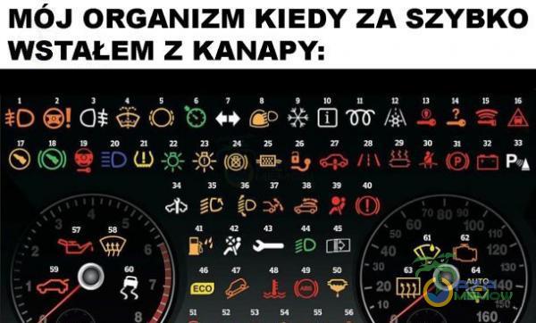 MÓJ ORGANIZM KIEDY ZA SZYBKO WSTAŁEM Z KANAPY: