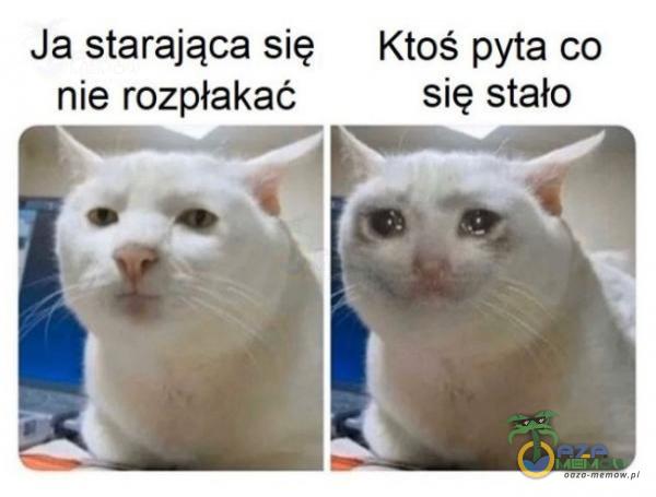 Ja starająca się Ktoś pyta co nie rozpłakać się stało ?