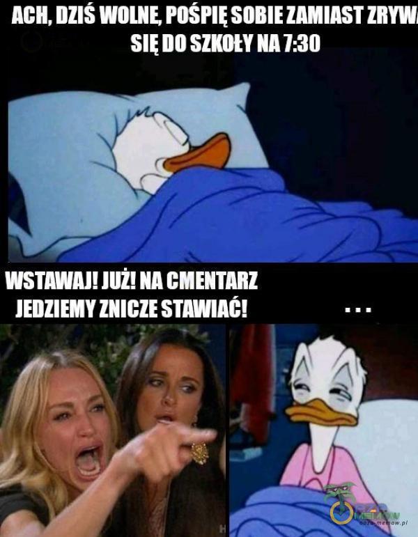 AGH, WOLNE SOBIE ZAMIAST ZRYW słuo SZKOtY NA 7:30 WSTAWAJ! JUŽ!NACMENTARZ JEDZIEMY ZNICZE STAWIAC!