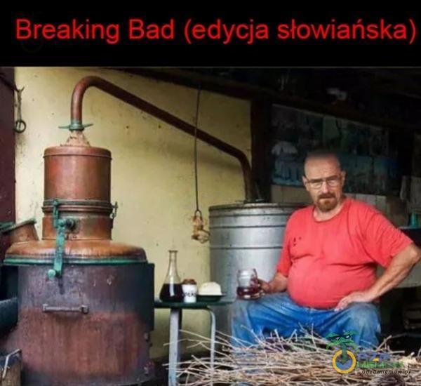 Breaking Bad (edycja słowiańska)