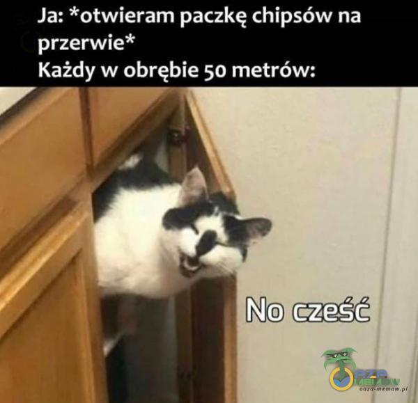 Codziennie tylko śmieszne memy, pasty, gify, suchary i filmy - przeglądaj, komentuj, dodawaj własne!