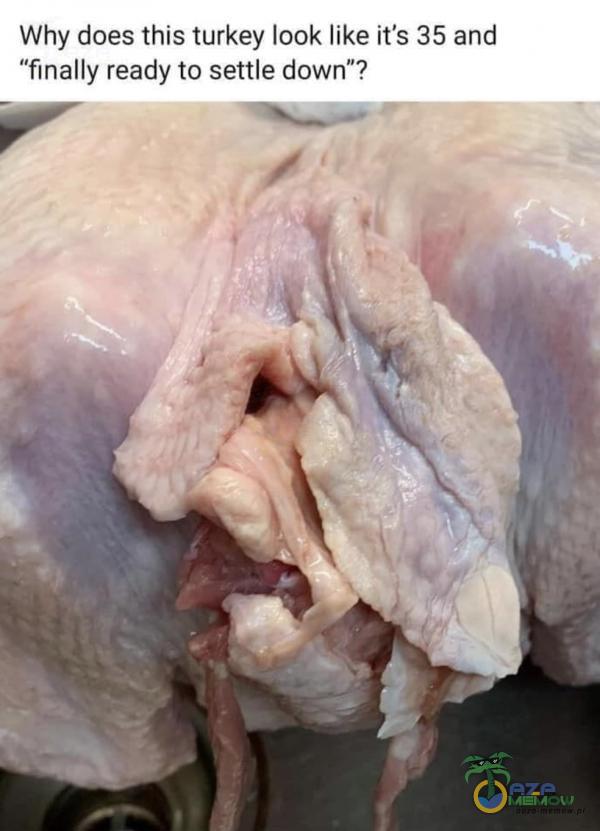 Why does this turkey look like it s 35 and finally ready to settle down”? I w w.