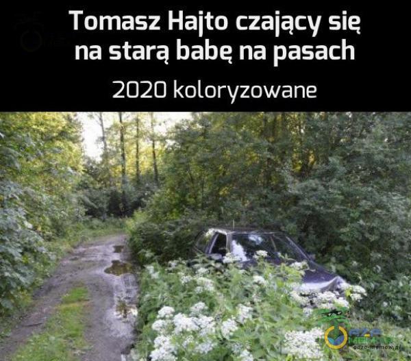 Tomasz Hajto czający się na starą babę na pasach 2020 kaloryzowane