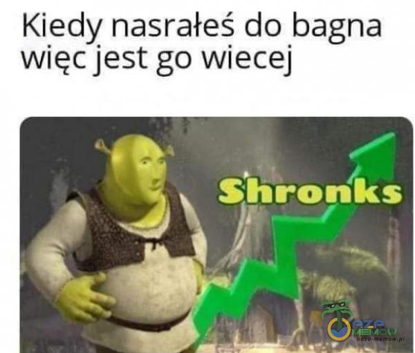 Kiedy nasrałeś do bagna Więc jest go Wiecej