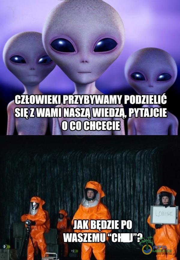 Codziennie tylko śmieszne memy, pasty, gify, suchary i filmy - przeglądaj, komentuj, dodawaj własne!