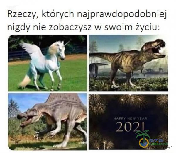 Rzeczy, których nejprawdopodobniej nigdy nie zobaczysz w swoim życiu: