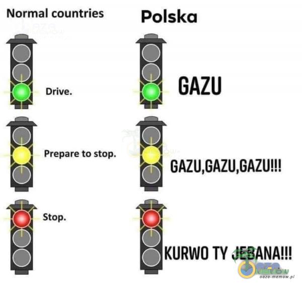 Normal countries t.) Drive. Prepare to stop. Stop. Pols*** O GAZU O KURWO TY J***NA!!!