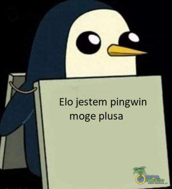 Elo jestem pingwin moge usa