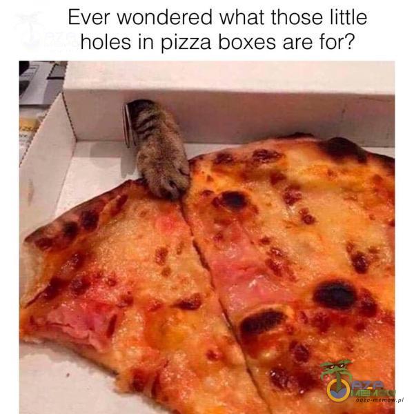Ever wondered what those little holes in pizza boxes are for?