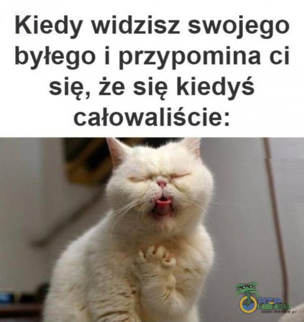 Kiedy widzisz swojego byłego i przypomina ci się, że się kiedyś całowaliście: