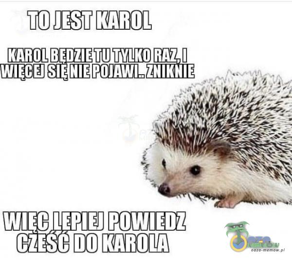 OJESTIKAROL AABABKNARAŁ,