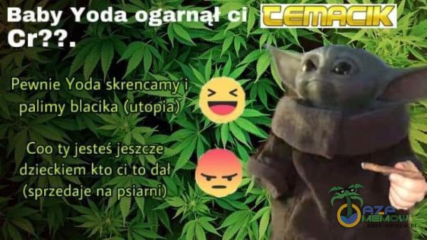 Baby Yoda ogarnąV Pewnie Yoda skrencamy i, palimy blacika. (utoPiS) Coo ty jesteś jeszcze dzieckiem kto ci to dał (sprzedaje na p iarȚi)