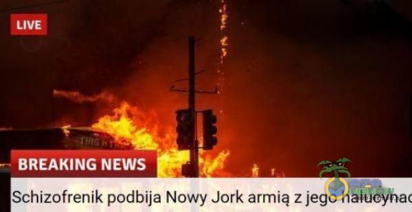 țiW BREAKING NEWS Schizofrenik podbija Nowy Jork armią z jego halucynac