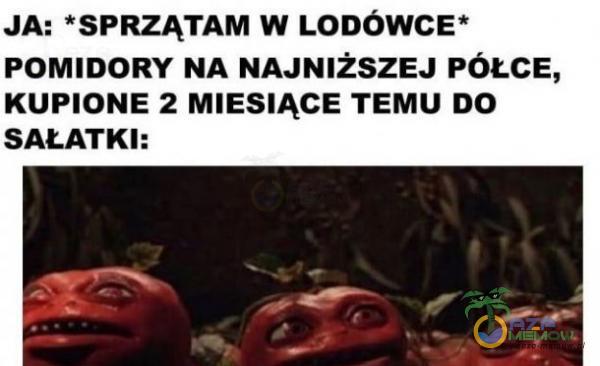 JA: *SPRZĄTAM W LODÓWCE* POMIDORY NA NAJNIŻSZEJ PÓŁCE, KUPIONE 2 MIESIĄCE TEMU DO SAŁATKI: