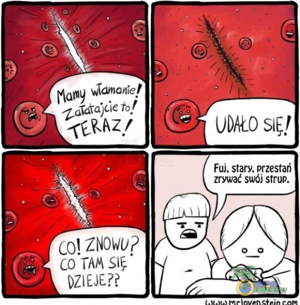 OAZ! col ZNOWU? co•TAM słț• DZIEJE?? O ODAŁo Fuj, stary. przestań zrywać swój strup.