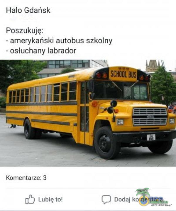 Halo Gdańsk Poszukuję: - amerykański autobus szkolny - osłuchany labrador Komentarze: 3 Lubię to! SCHOOL C) Dodaj komentarz