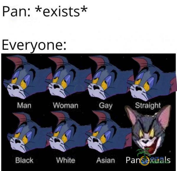 Pan: *exists* Everyone: Man Black Woman Whi*** Gay Asian Straight Pansexuals