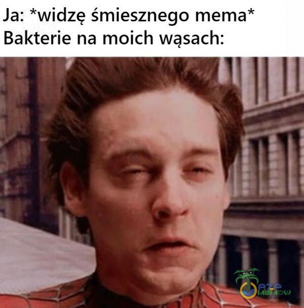 Ja: *widzę śmiesznego mema* Bakterie na moich wąsach: